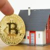Bitcoin Daily Crypto Real Estate x copy