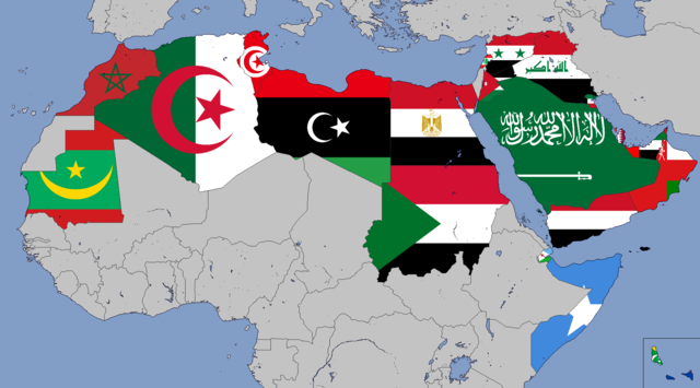 Arab Nations Unite in Support of Syria Amid Israeli Escalations