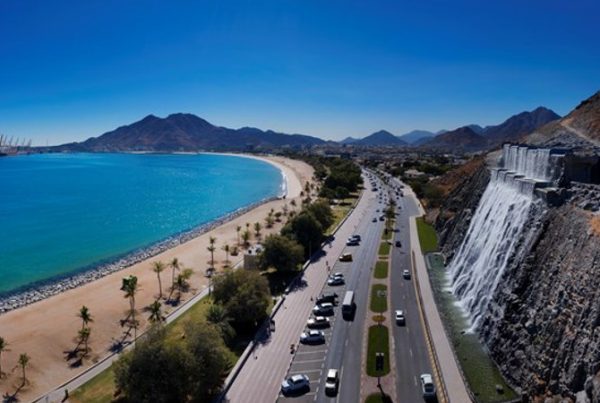 pano pano copy