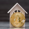 white house coin bitcoin coin