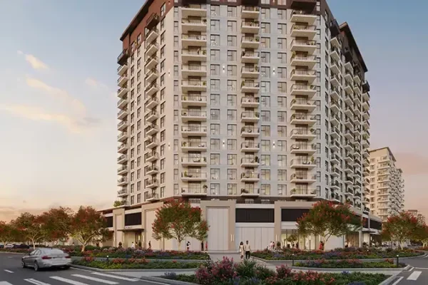 ROSEWELL by NSHAMA ()